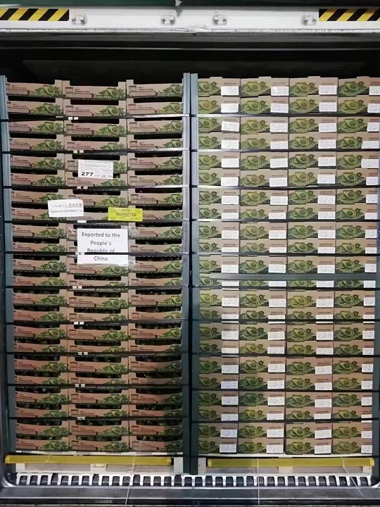 报关行8.jpg 报关行8.jpg