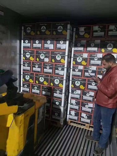 进口报关代理3.jpg 进口报关代理3.jpg