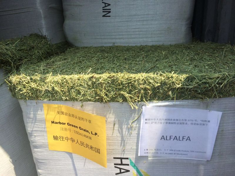 苜蓿草进口清关.jpg 苜蓿草进口清关.jpg