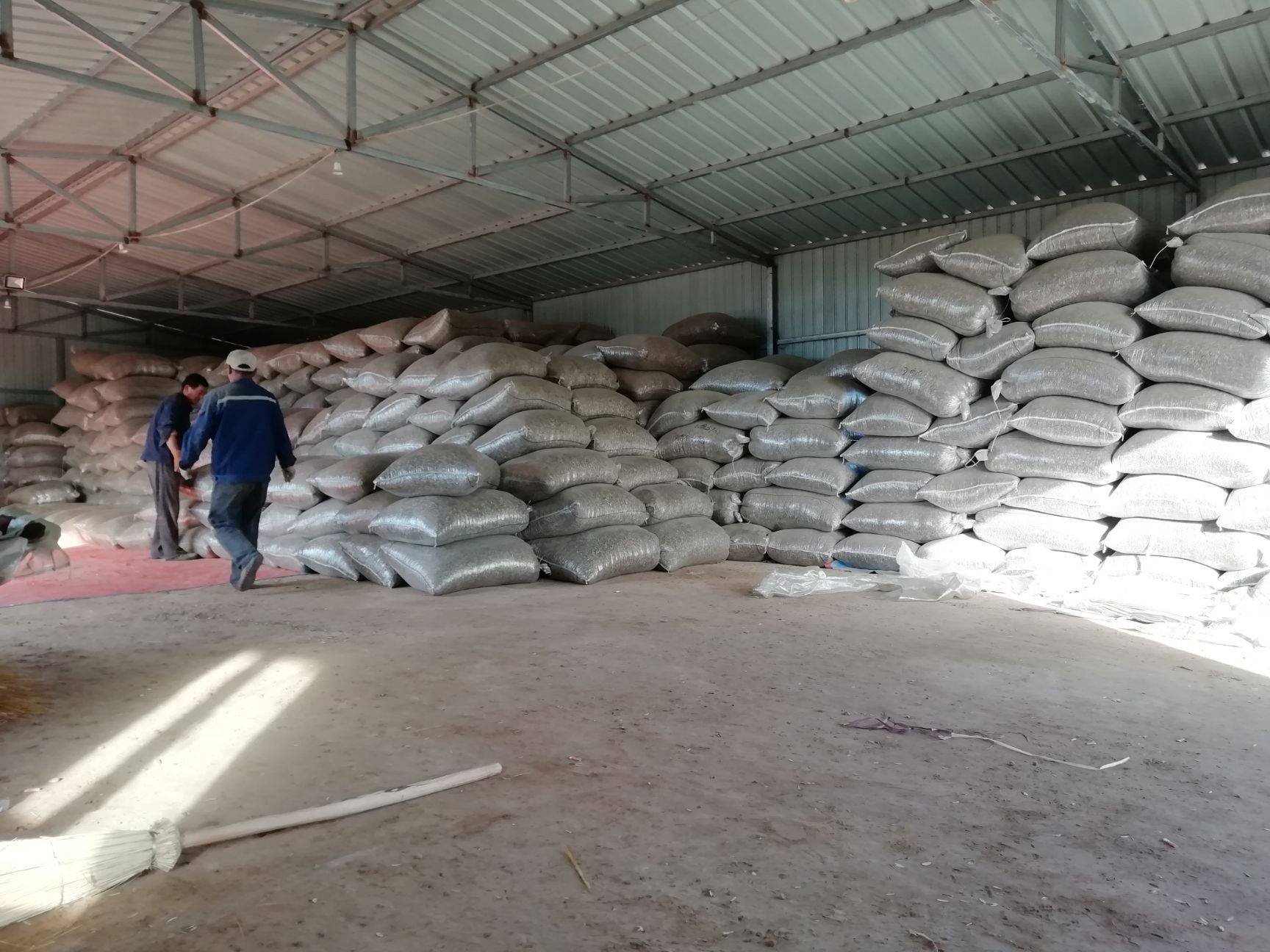 葵花子进口清关.jpg 葵花子进口清关.jpg