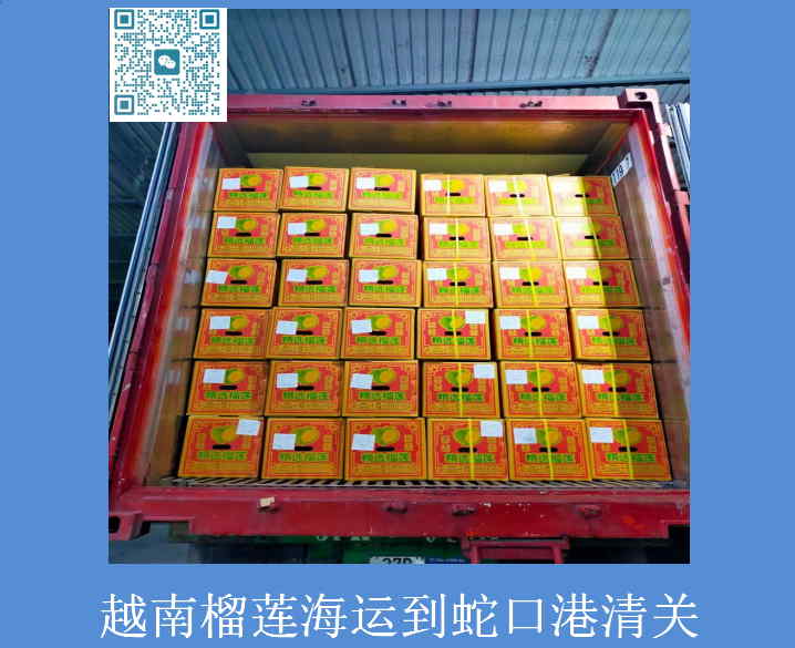 越南榴莲海运到蛇口港清关.jpg
