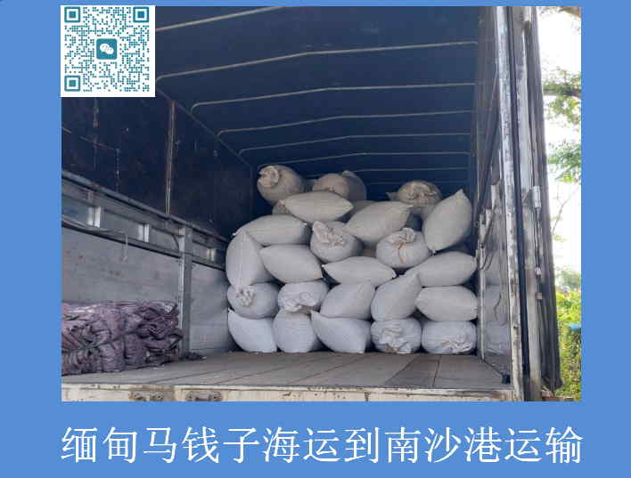 缅甸马钱子海运到南沙港.jpg