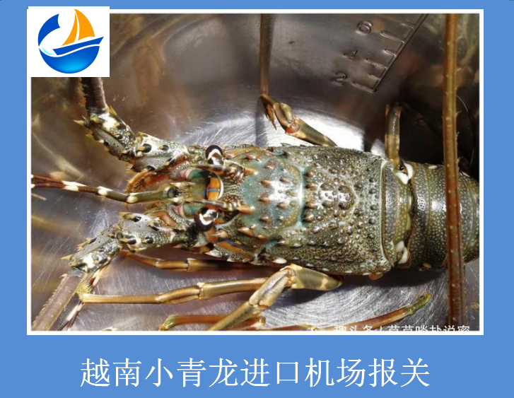 越南小青龙进口机场报关.png 越南小青龙进口机场报关.png