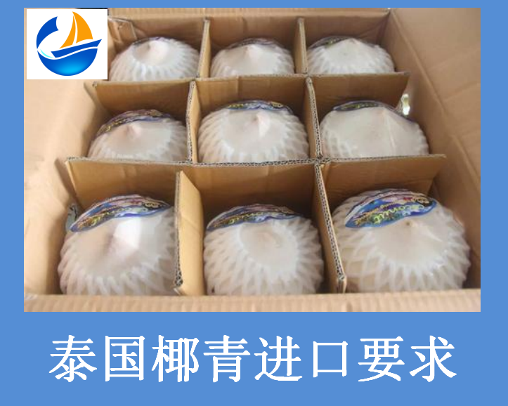 泰国椰青进口要求.png