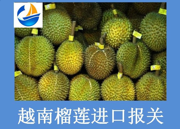 越南榴莲进口报关.png 越南榴莲进口报关.png